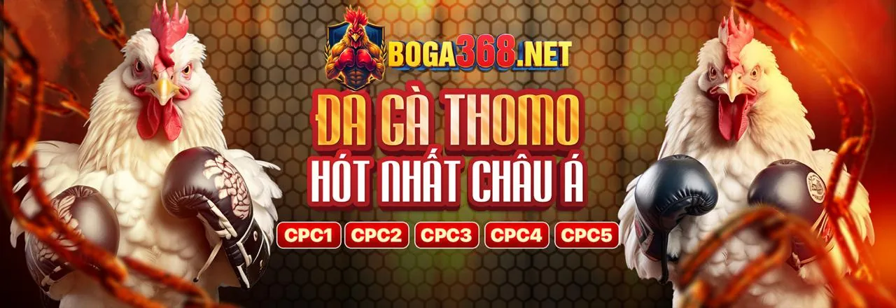 Tổng quan nền tảng V888